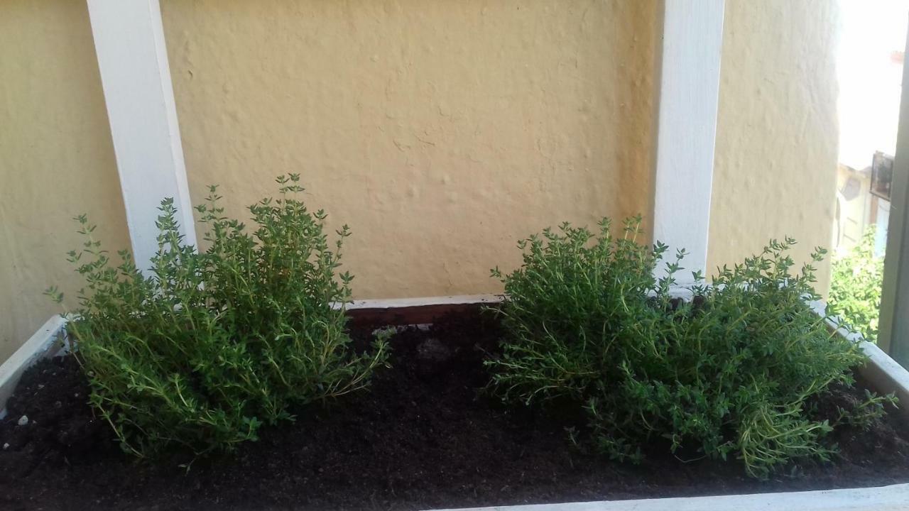 Apartamento Piso en Córdoba Emili´s House Exterior foto